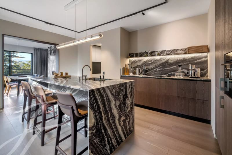 Panoramic view of the lake and contemporary interiors (4)