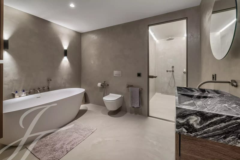 Panoramic view of the lake and contemporary interiors (13)