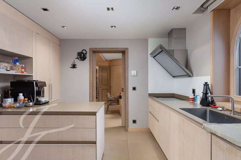 EXCLUSIVE - Luxury and serenity in the heart of Conches (4)