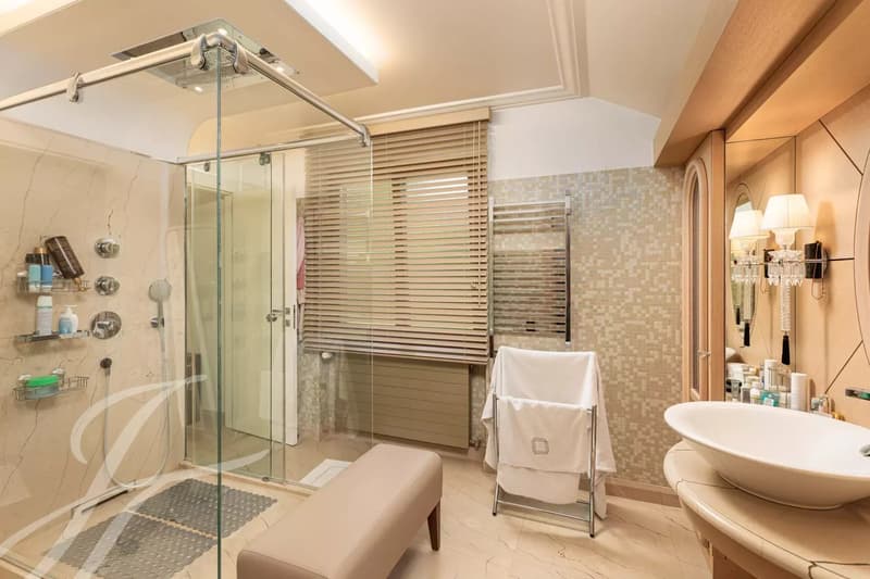 EXCLUSIVE - Luxury and serenity in the heart of Conches (7)