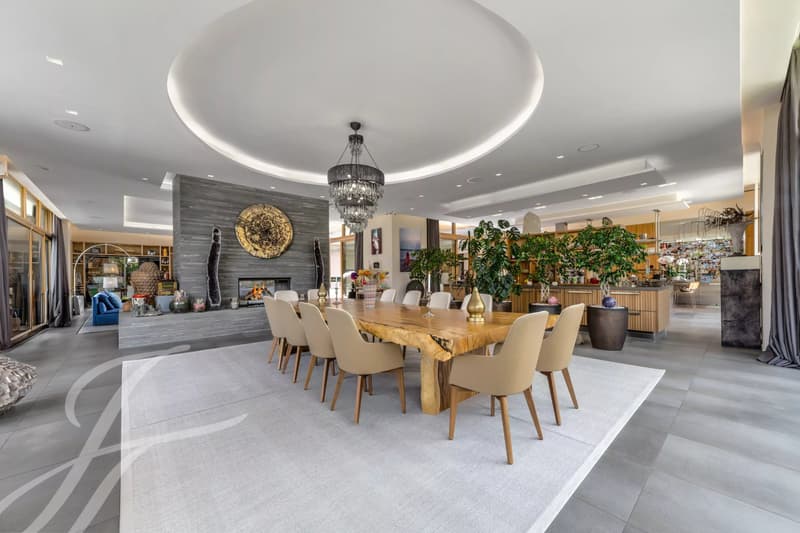 Exceptional property in Plan-les-Ouates (4)