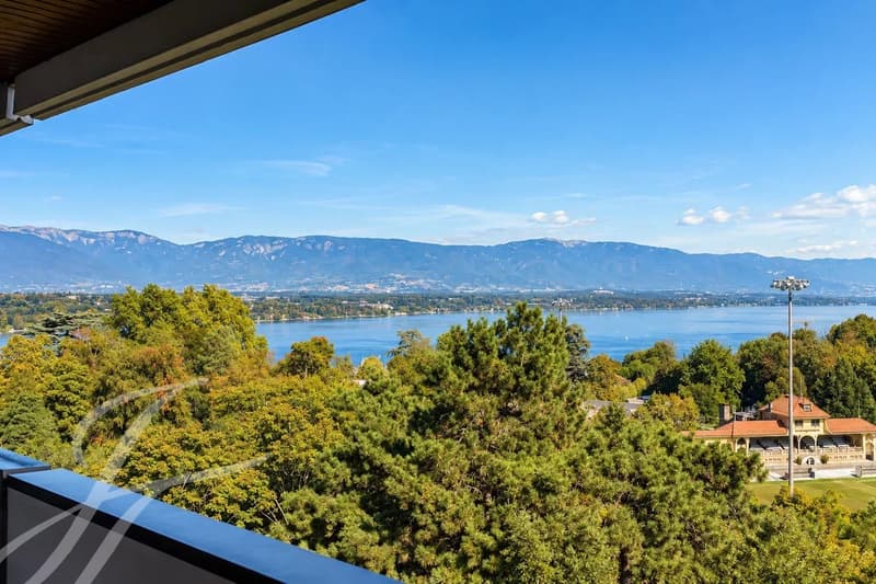 Panoramic view of Cologny (5)