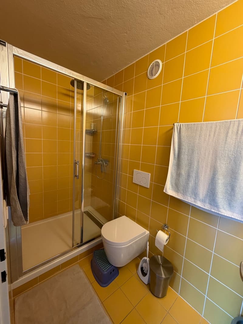 Vevey - Rue du Simplon 39 - appartement de 2 pièces au 4ème étage (7)