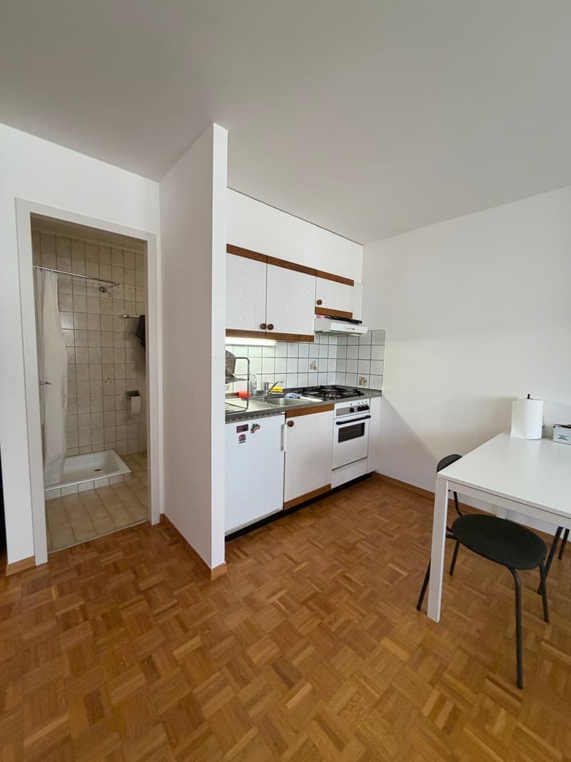 Vevey - Ch. des Saules 17 - appartement de 1 pièce au 2ème étage (2)