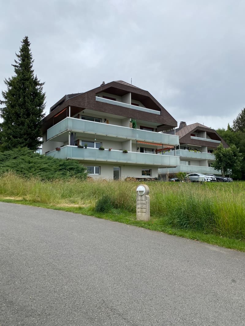 Forel - Route des Tavernes 8 - appartement de 5.5 pièces en duplex (1)