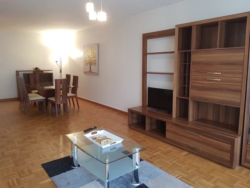 Dans le quartier de Champel à Genève, grand appartement meublé de 2 pièces au 2ème étage (1)