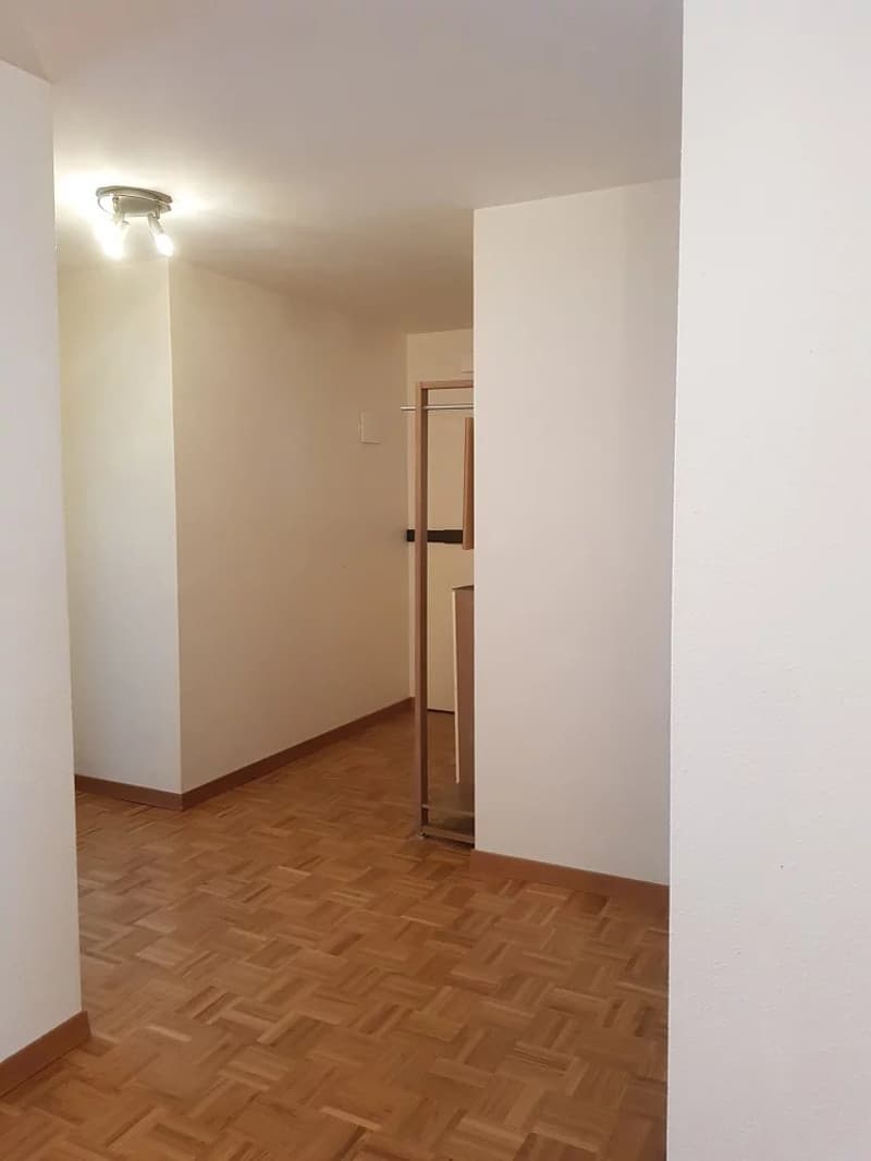 Dans le quartier de Champel à Genève, grand appartement meublé de 6 pièces au 2ème étage (2)