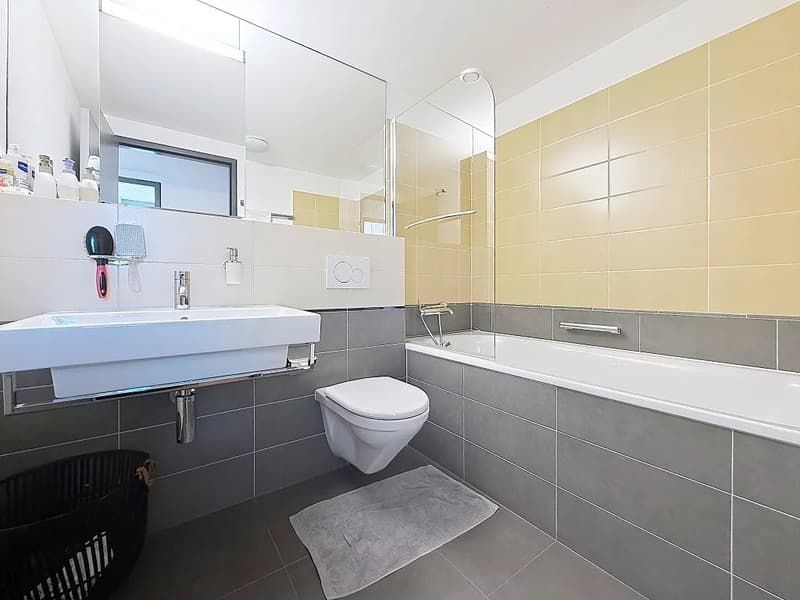 Très bel appartement lumineux à proximité immédiate du lac et du parc des Eaux-Vives (5)