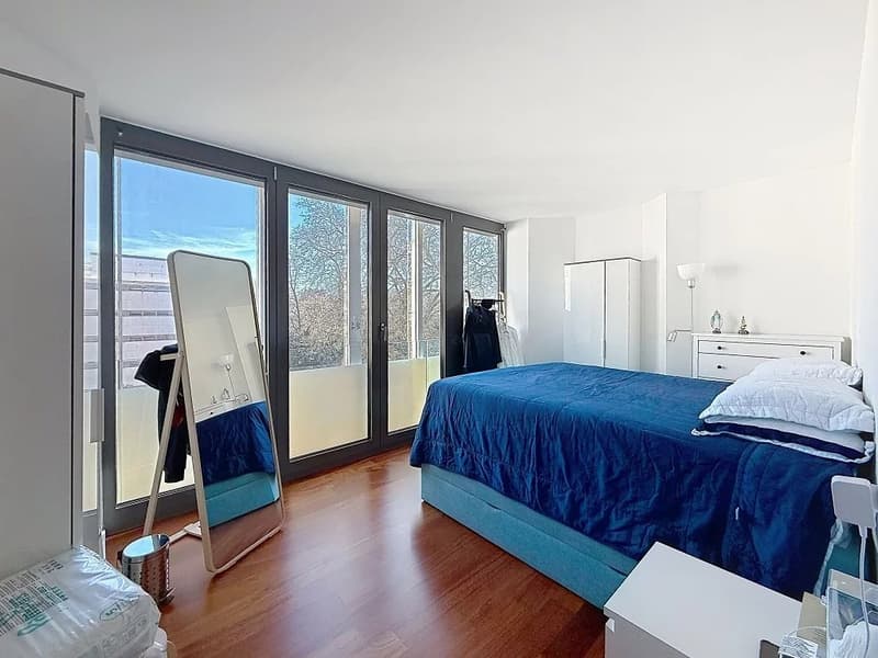 Très bel appartement lumineux à proximité immédiate du lac et du parc des Eaux-Vives (4)