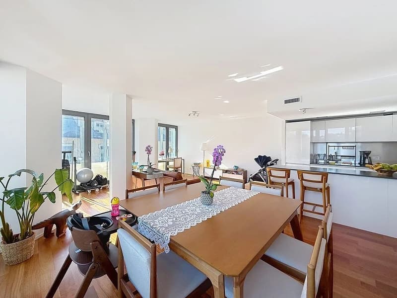 Très bel appartement lumineux à proximité immédiate du lac et du parc des Eaux-Vives (3)