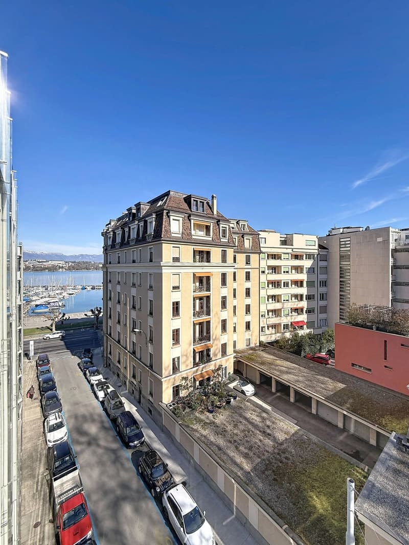 Très bel appartement lumineux à proximité immédiate du lac et du parc des Eaux-Vives (2)
