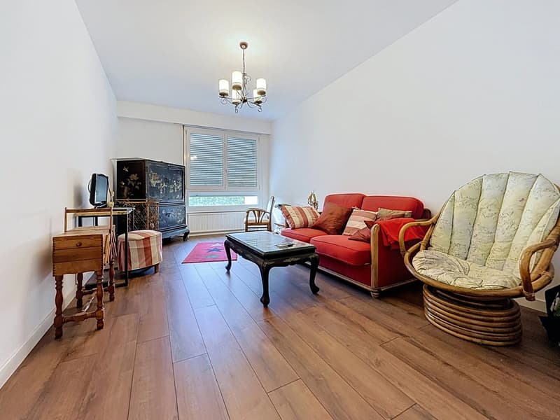Appartement spacieux et lumineux avec 2 balcons (5)