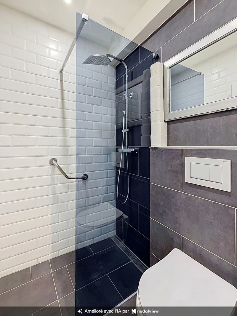 Appartement spacieux et lumineux avec 2 balcons (6)