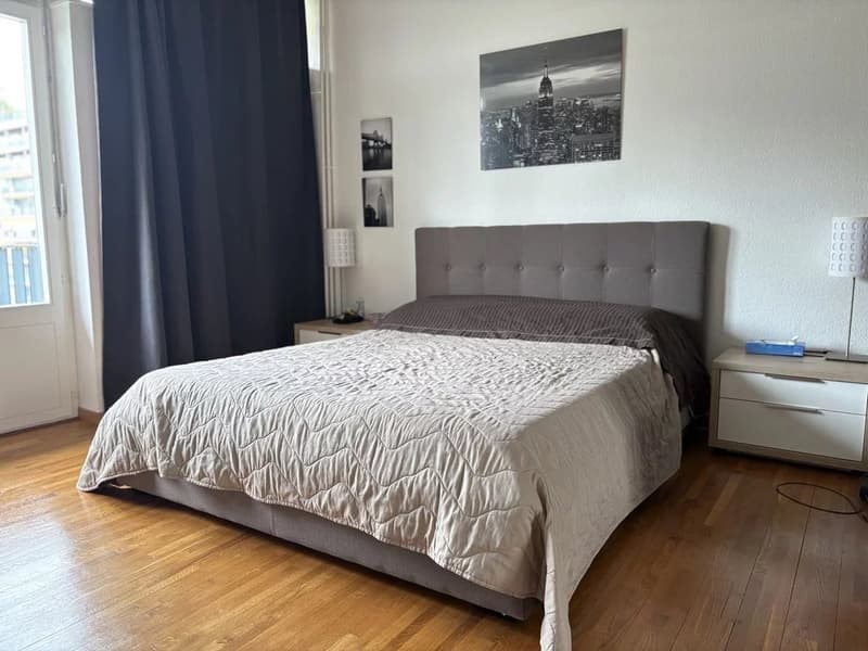 A proximité des organisations internationales, appartement meublé de 3 pièces (4)