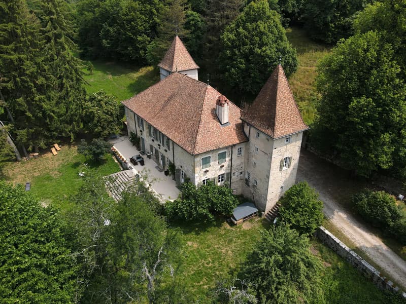 Magnifique château à 50 mn de Genève (1)