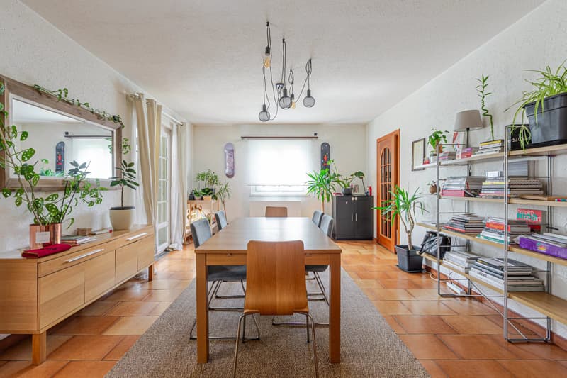 MAISON INDIVIDUELLE DE 6.5 PIÈCES - CHÊNE-BOURG (3)