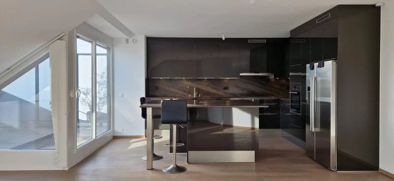 CHÊNE-BOURG | SUPERBE 4 PIÈCES EN ATTIQUE (1)