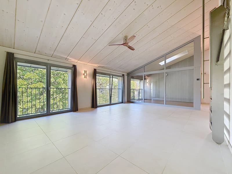 Magnifique appartement de 5,5 pièces en attique (2)