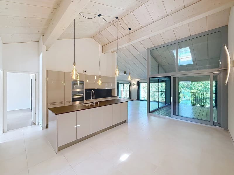Magnifique appartement de 5,5 pièces en attique (1)