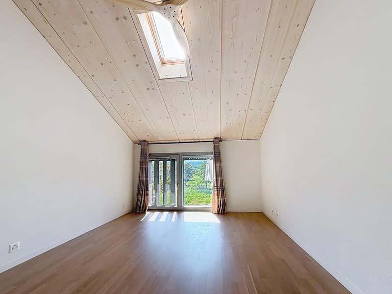 Magnifique appartement de 5,5 pièces en attique (5)