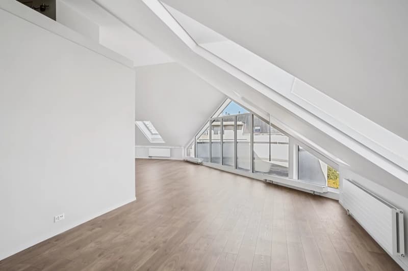 Bureaux entièrement rénovés en attique avec 2 terrasses (6)