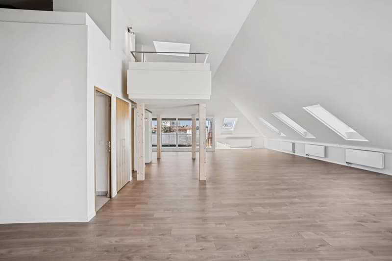 Bureaux entièrement rénovés en attique avec 2 terrasses (4)