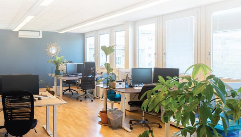 Bureaux lumineux et modulables (2)