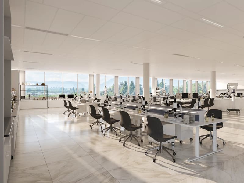 Belles surfaces semi-aménagées à Plan-les-Ouates (6)