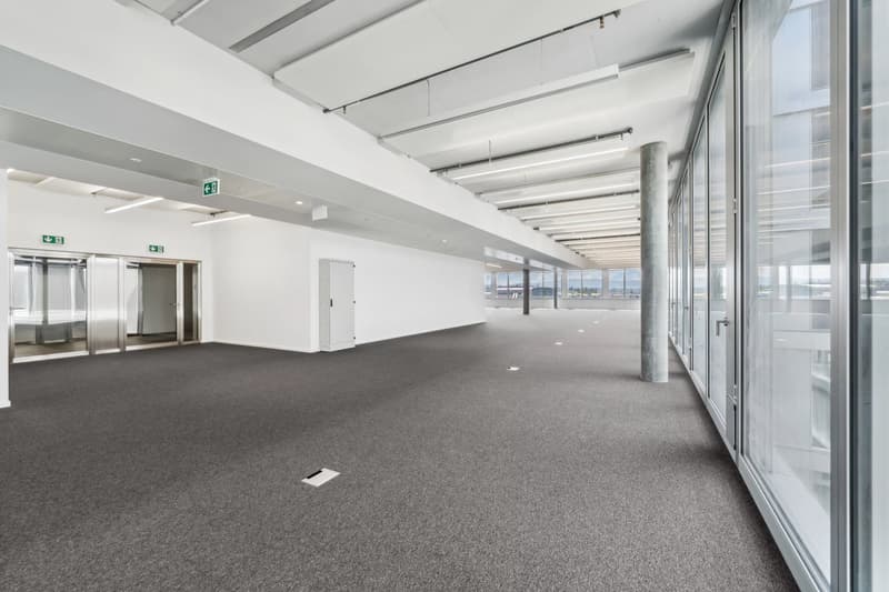 Belles surfaces semi-aménagées à Plan-les-Ouates (7)