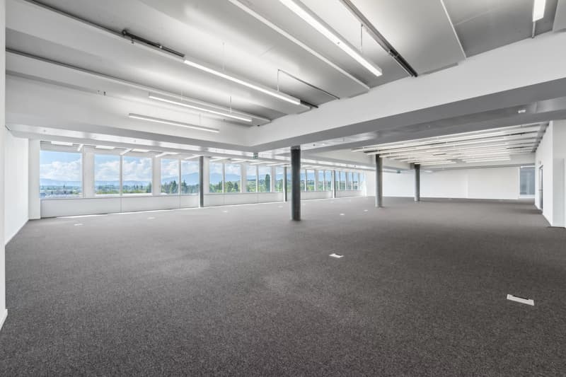 Belles surfaces semi-aménagées à Plan-les-Ouates (7)