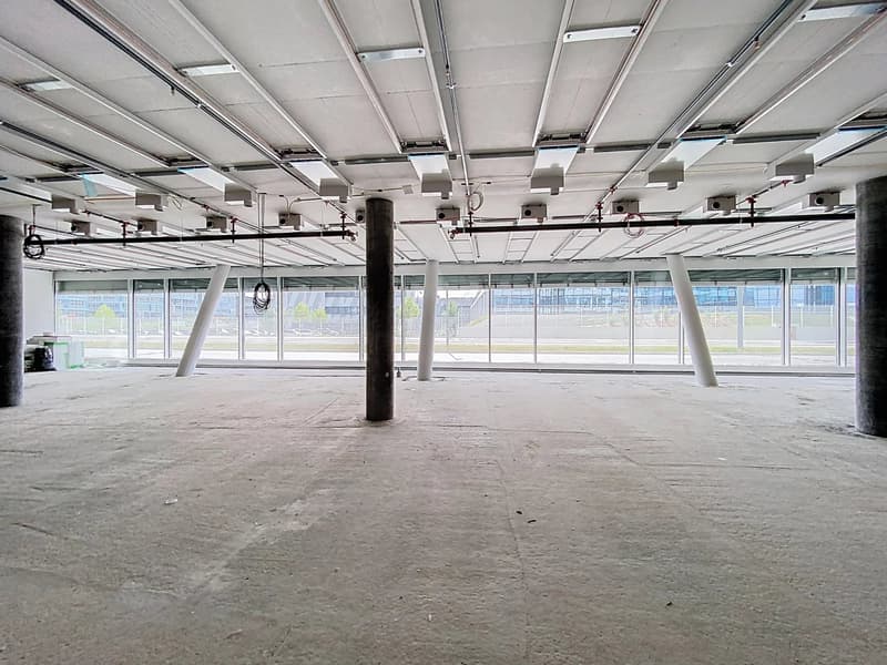 Belle arcade à Plan-les-Ouates (12)