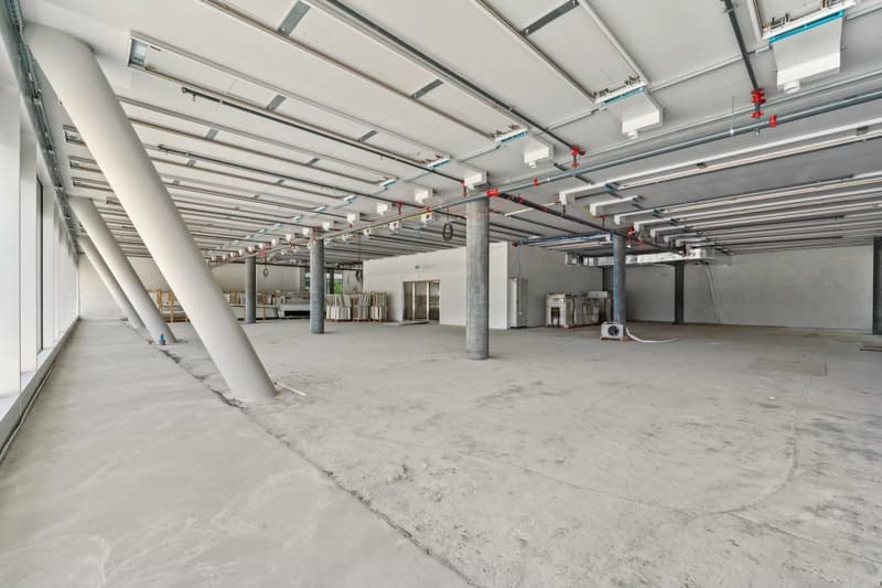 Belle arcade à Plan-les-Ouates (9)
