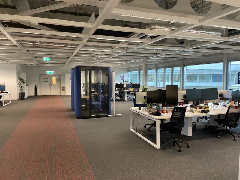 5000 m² situés au coeur d'une zone dynamique (6)