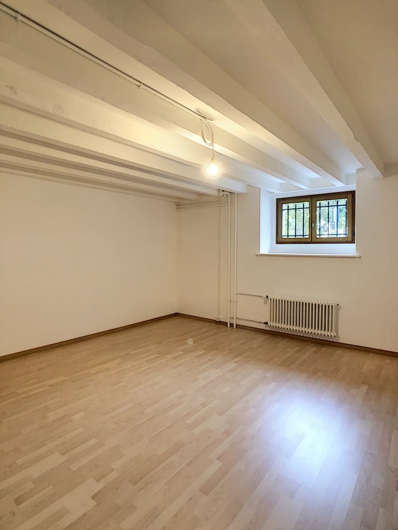 Bureaux proche de la gare Cornavin (7)
