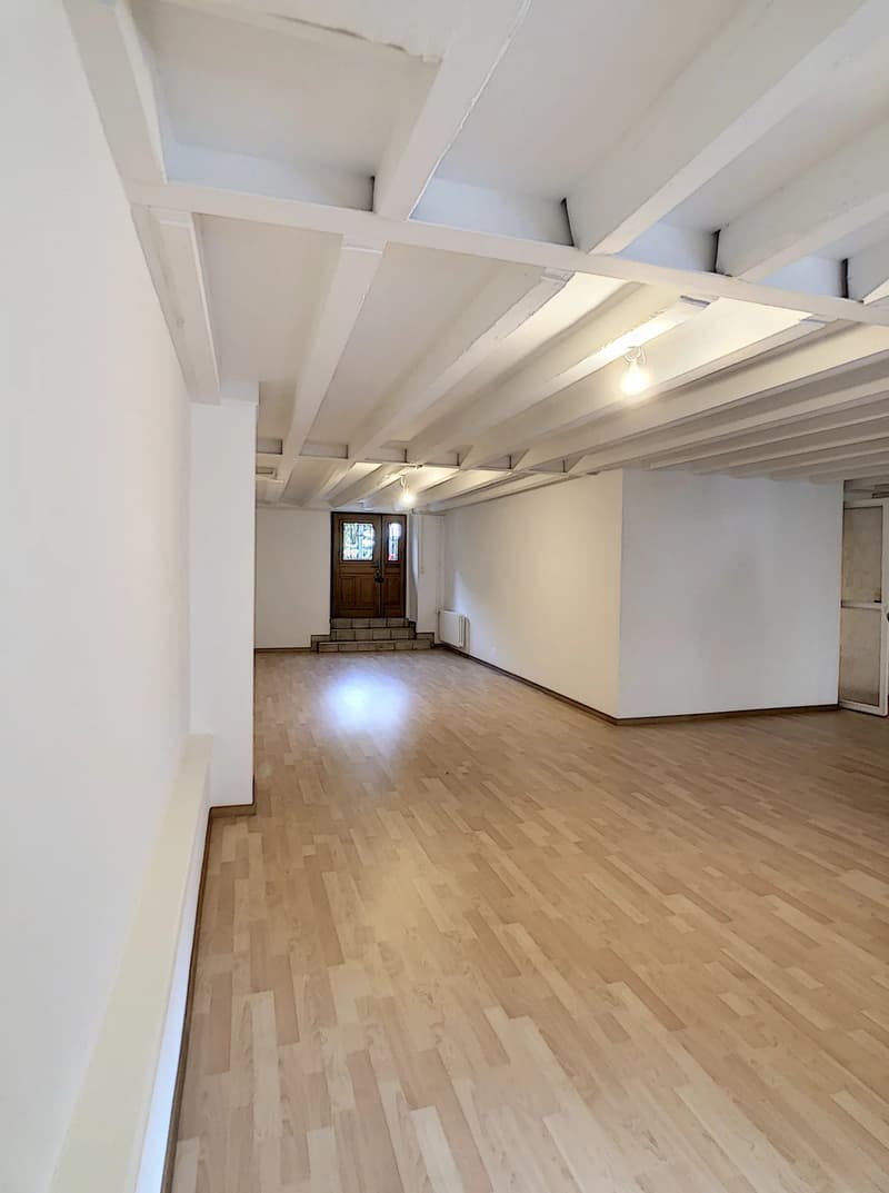 Bureaux proche de la gare Cornavin (8)