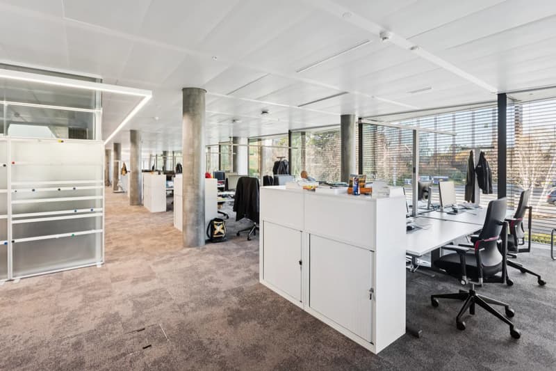 Opportunité rare dans un secteur statégique (8)