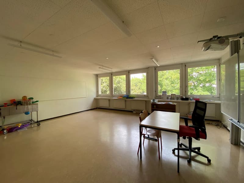 Bureaux à louer au Petit-Saconnex dans un immeuble privatif (12)