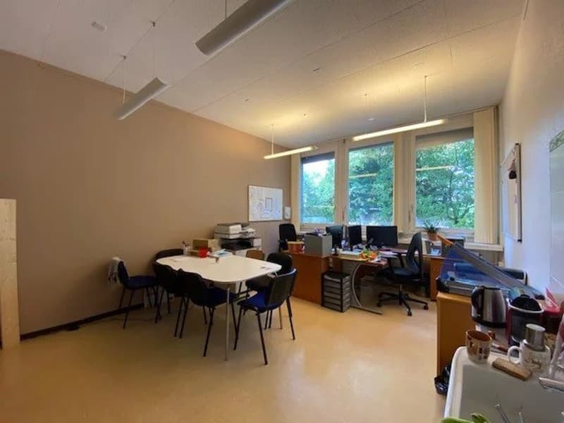 Bureaux à louer au Petit-Saconnex dans un immeuble privatif (11)