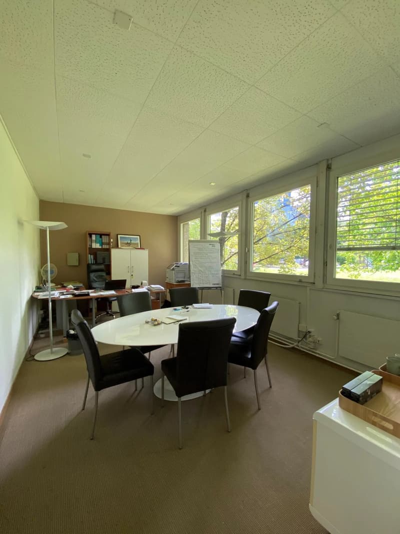 Bureaux à louer au Petit-Saconnex dans un immeuble privatif (10)