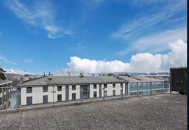 Bureaux au coeur de Genève avec terrasse (1)