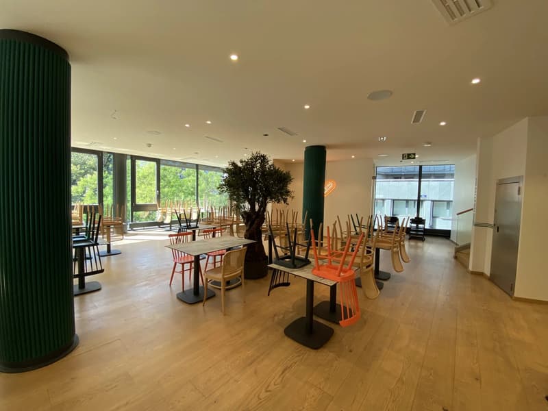 Restaurent équipé au centre de Genève (7)