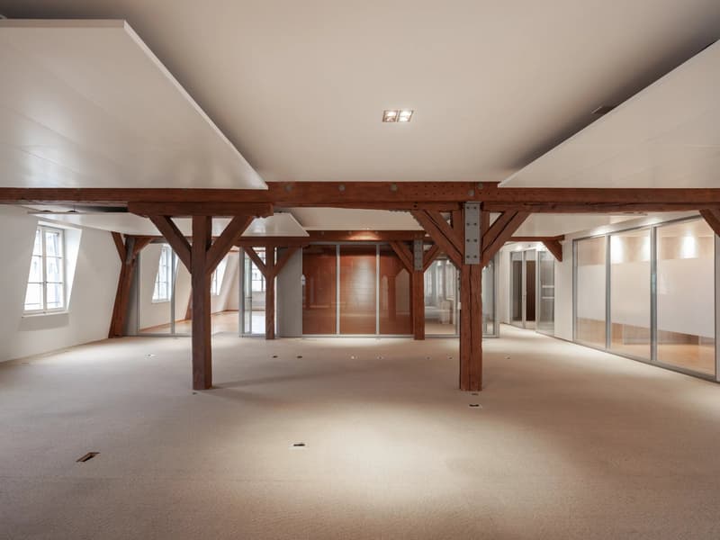 Bureaux à la place du Molard (4)