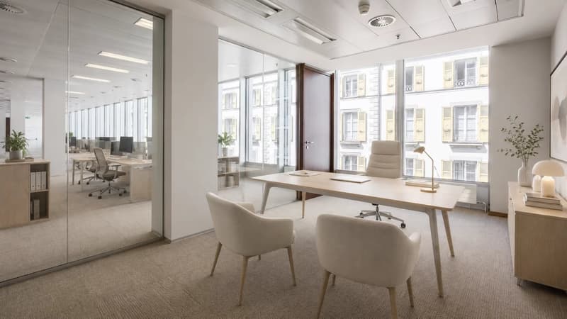 Bureaux Rue du Rhône (3)