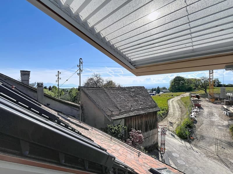 Appartement de charme de 4,5 pièces en duplex (4)
