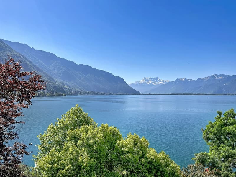 Prestigieux bureaux avec panorama exceptionnel (11)