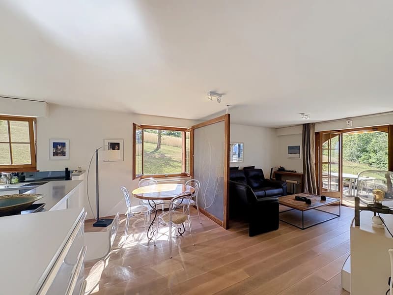 2,5 pièces avec terrasse de 38 m2 - vue lac (7)