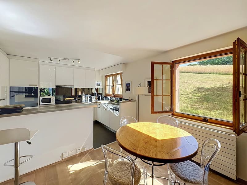 2,5 pièces avec terrasse de 38 m2 - vue lac (9)