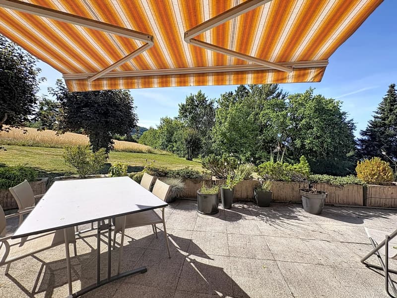 2,5 pièces avec terrasse de 38 m2 - vue lac (12)