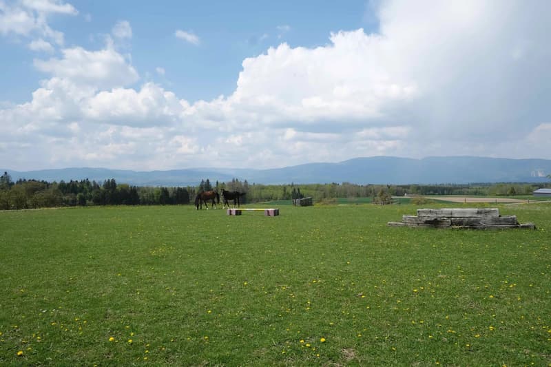 Terrain à bâtir pour maison de 465 m2 habitables (5)