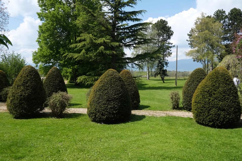 Terrain à bâtir pour maison de 465 m2 habitables (3)